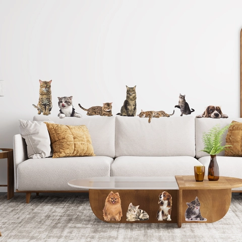 Realistische Katze Und Hund PVC Wandaufkleber Wasserdichte Tier Aufkleber Für Wohnzimmer Schlafzimmer Sofa Hintergrund Deko