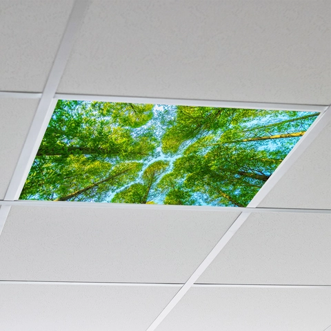 Adesivo per Soffitto Vista Foresta Alberi Alti PVC Autoadesivo Decalcomania HD per Ufficio Soggiorno Decorazione Parete
