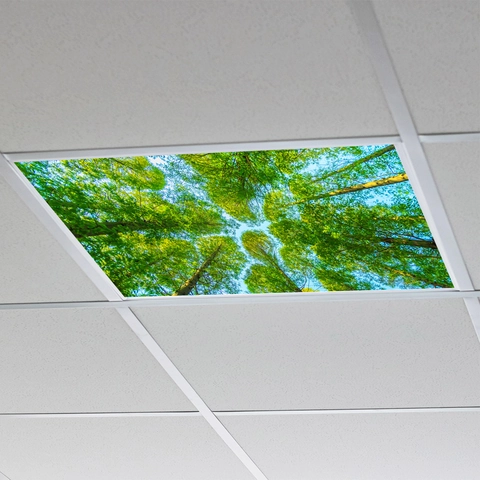 Adesivo per Soffitto Vista Foresta Alberi Alti PVC Autoadesivo Decalcomania HD per Ufficio Soggiorno Decorazione Parete