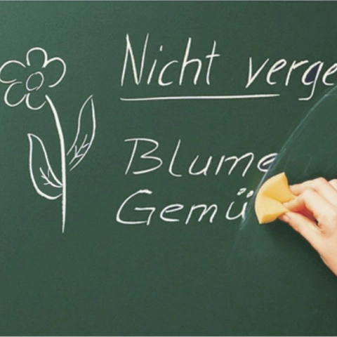 Groene Krijtbord Muursticker Uitwisbaar Zelfklevend Krijtbord Decal Voor Klaslokaal Kinderkamer Kantoor Verwijderbaar Schrijfoppervlak