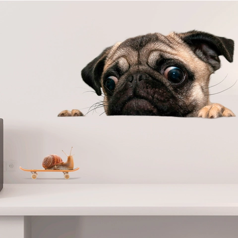 3D Realistic Pug Dog Peeking Snail Skateboard Toilet Decal Creative Removable PVC Wall Sticker For Bathroom Car Laptop Decor