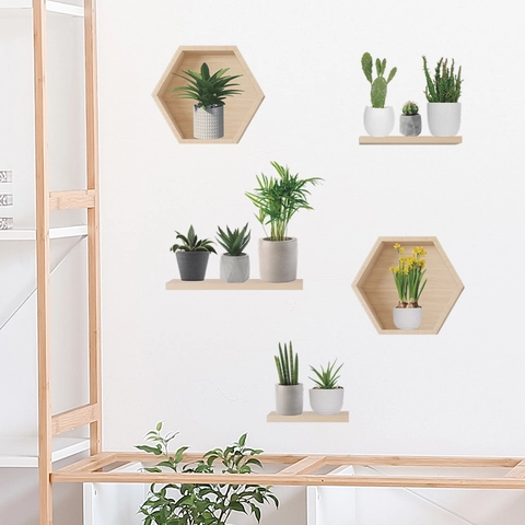 Vinilo Decorativo Pared Efecto Visual 3D Plantas Verdes Cactus Estante Hexagonal PVC Autoadhesivo Removible Para Decoración Hogar Sala