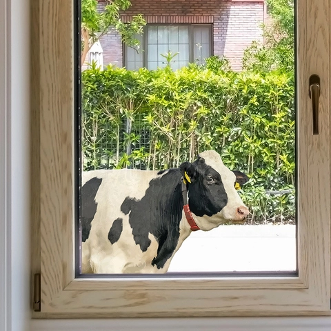 Creative Peeking Cow Window Sticker Realistic Animal Wall Decal PVC Waterproof Glass Door Decoration For Home Shop Decor