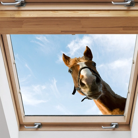 Funny 3D Horse Head Peeking Window Wall Sticker PVC Waterproof Art Decal Creative Animal Home Decor For Glass Door Living Room
