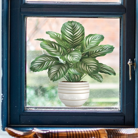 Fensteraufkleber Topfpflanze Calathea Orbifolia Statische Haftfolie PVC Dekorative Glasfolie Für Wohnzimmer Schlafzimmer Zuhause