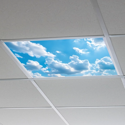 Adesivi per Soffitto Creativi in PVC Moderni Cielo Blu Nuvola Delfino Cuore Galassia Universo Pellicola Decorativa per Interni Casa Ufficio