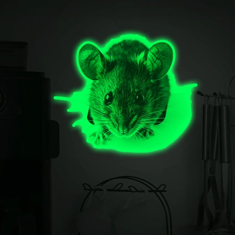 3D Realistische Mausloch Leuchtender Wandaufkleber PVC Leuchten Im Dunkeln Grünes Licht Maus Aufkleber Für Wohnzimmer Dekor