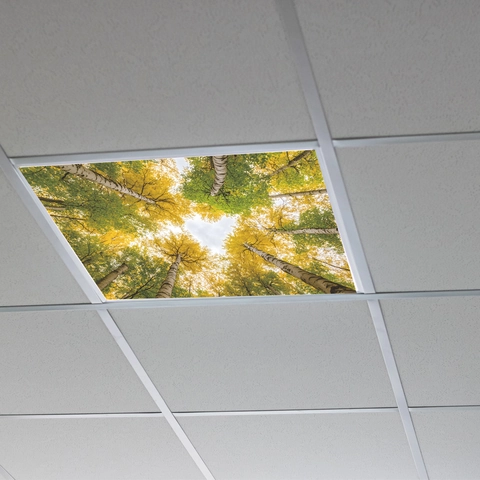 Adesivo per Soffitto a Forma di Cuore Foresta Autunnale in PVC Copertura Luce Traslucida per Ufficio Camera da Letto Soggiorno