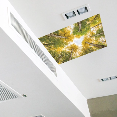 Adesivo per Soffitto a Forma di Cuore Foresta Autunnale in PVC Copertura Luce Traslucida per Ufficio Camera da Letto Soggiorno