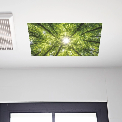 Pegatina de Pared para Techo de Bosque Natural Sol Cielo de PVC Calcomanía de Paisaje para Dormitorio Sala de Estar Oficina