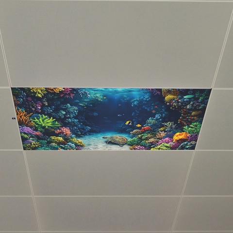 Autocollants Muraux Tortue de Mer Récif Corallien Monde Sous-marin Pvc Décalcomanies de Plafond Pour Salon Bureau Décoration Maison
