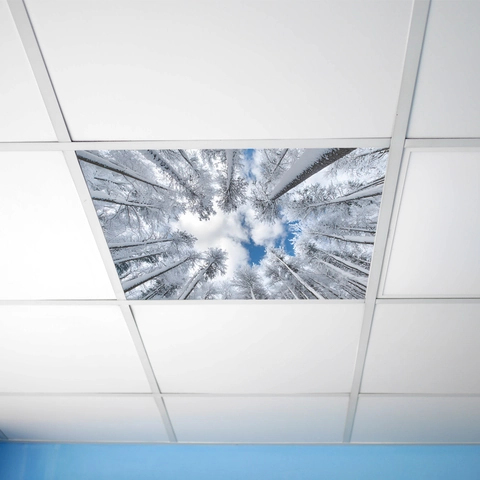Adesivo da Parete Soffitto Foresta Invernale Innevata Cielo Blu Nuvole PVC Paesaggio Naturale per Arredamento Casa Ufficio