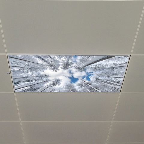 Adesivo da Parete Soffitto Foresta Invernale Innevata Cielo Blu Nuvole PVC Paesaggio Naturale per Arredamento Casa Ufficio