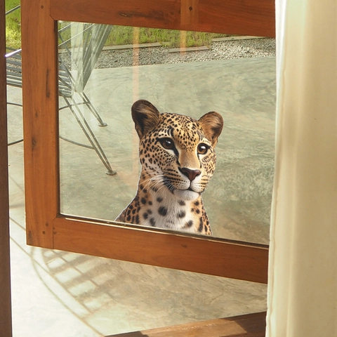 Adesivo per Finestra Testa di Leopardo Realistico 3D PVC Impermeabile Vetrofania Anti-Collisione Decorazione Casa Balcone