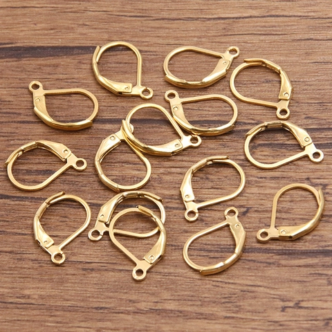 Stainless Steel French Leverback Earring Hooks Gold Plated D-Shaped Ear Wire Loop DIY Jewelry Making Findings Earring Buckle