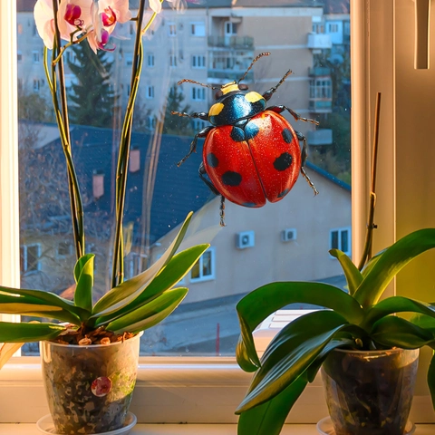 Realistische 3D Lieveheersbeestje Raamstickers Statische Hechting UV Bedrukte PVC Sticker Voor Glas Decoratie Insecten