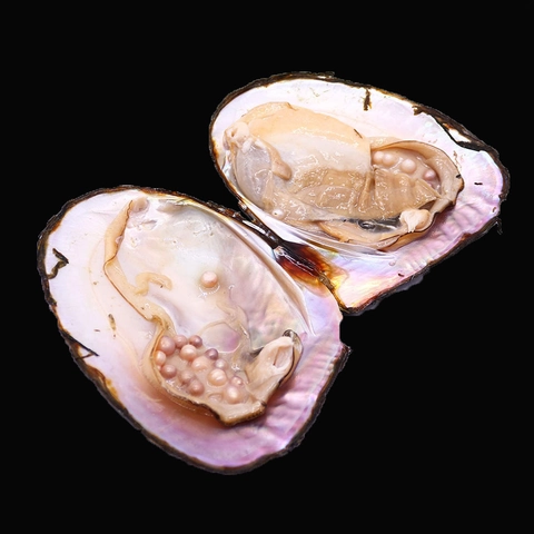 Natural Freshwater Multi Artificial Pearl Mussel For Jewelry Making DIY Cultured Artificial Pearl Mussel Shell Decorative Specimen