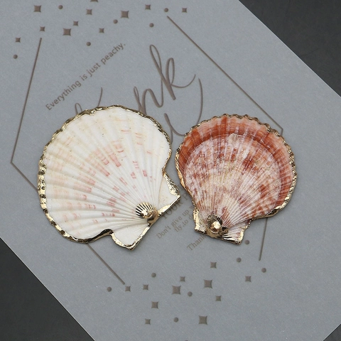 Natural Shell Scallop Pendants With Gold Electroplated Edges Gradient Color Conch Shell Pendants For DIY Jewelry Making Crafts