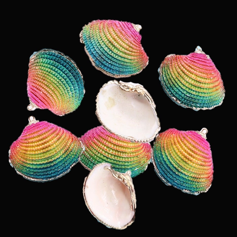 Natural Shell Scallop Pendant Only Without Chain For Jewelry Making Rainbow Gradient Electroplated Gold Edging Shell Charm DIY Necklace Findings