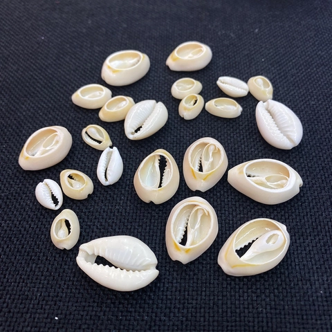 Natural Cowrie Shell Beads For DIY Jewelry Making Handmade Necklace Bracelet Supplies Conch Shell Craft Accessories