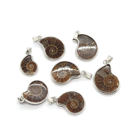 Natural Snail Fossil Slice Pendant Silver Plated Edged Ammonite Shell Charm For DIY Necklace Jewelry Making Vintage Accessory
