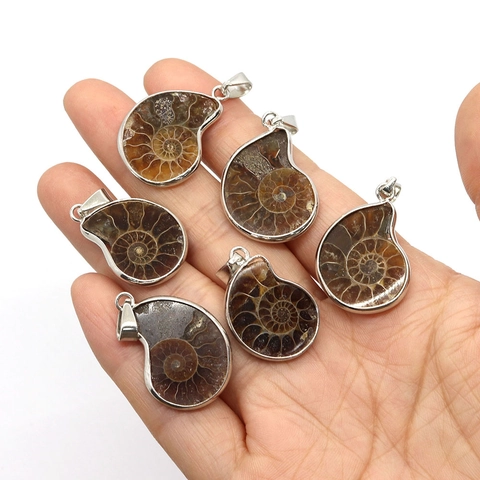 Natural Snail Fossil Slice Pendant Silver Plated Edged Ammonite Shell Charm For DIY Necklace Jewelry Making Vintage Accessory