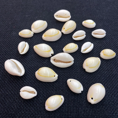Natural Polished Cowrie Shell Beads Single Hole Conch Shells For DIY Jewelry Making Earrings Necklace Bracelet Accessories