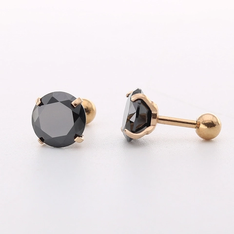 Mode Roestvrij Staal Zirconia Oorknopjes Voor Dames Heren 4 Klauwen Rond Kleurrijk AAA Zirkoon Kristal Oorpiercing Sieraden