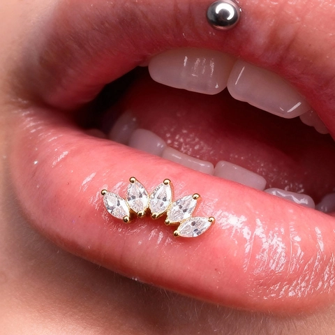 Titanium Alloy Lip Stud Rhinestone Inlaid Butterfly Heart Star Flower Cross Lip Piercing Jewelry For Women Trendy Punk Cool Body Accessory