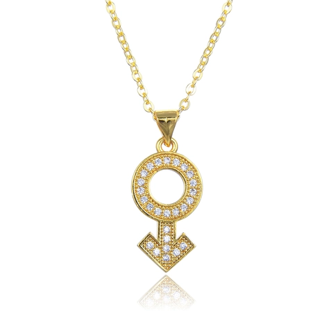 Iced Out Mannelijk Vrouwelijk Symbool Hanger Ketting Goud Zilver Verguld Koper Zirkonia Hip Hop Sieraden Voor Vrouwen Mannen Sleutelbeen Ketting Cadeau