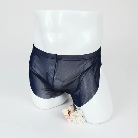 Herren Sexy Transparent Netz Boxer Shorts Atmungsaktiv Dünn Unterwäsche Nylon Polyamid Einfarbig Unterhosen
