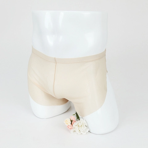 Herren Sexy Transparent Netz Boxer Shorts Atmungsaktiv Dünn Unterwäsche Nylon Polyamid Einfarbig Unterhosen