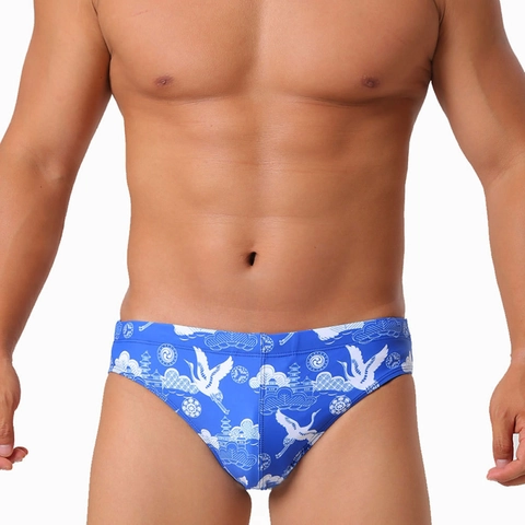 Men Oriental Flying Crane Print Swim Briefs Polyester Spandex Quick Dry Traditional Clouds Pattern Beach Swimming Trunks