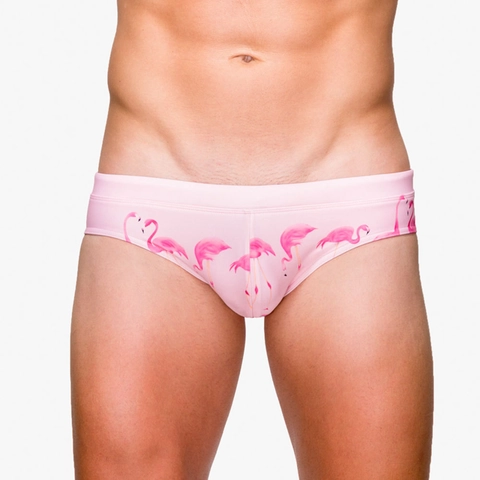 Herren Badeslip Mit Flamingo Print Niedrige Taille Schnell Trocknend Nylon Bikini Bademode Für Strand Pool Sommer Urlaub