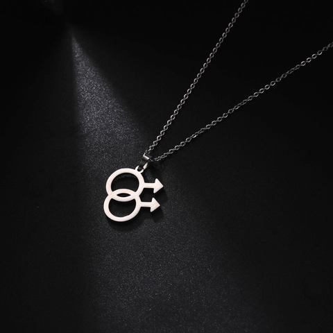 Minimalistische 304 Roestvrijstalen Halsketting Met Dubbel Mannelijk Mars Symbool Hanger Goud Zilver Voor Mannen Vrouwen Gay Pride Sieraden