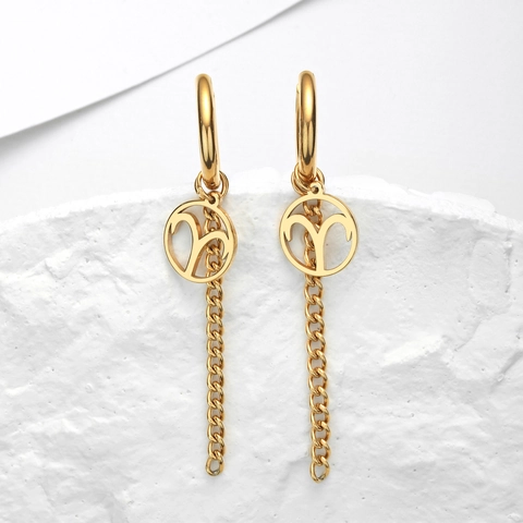 Boucles d'Oreilles Zodiaque en Acier Inoxydable Pendentif Rond Creux Chaîne Gland Fermoir d'Oreille Femme Bijoux