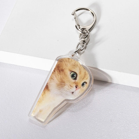 Süße Cartoon Katze Acryl Schlüsselanhänger Für Damen Herren Lustige Katze Meme Tasche Anhänger Kreative Tier Schlüsselring Auto Schlüsselhalter Geschenk