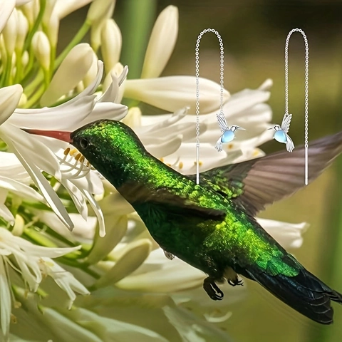 Eleganti Orecchini a Catenella Colibrì in Lega Pietra Sintetica Azzurra Catena Lunga con Nappa Orecchini Donna Gioielli