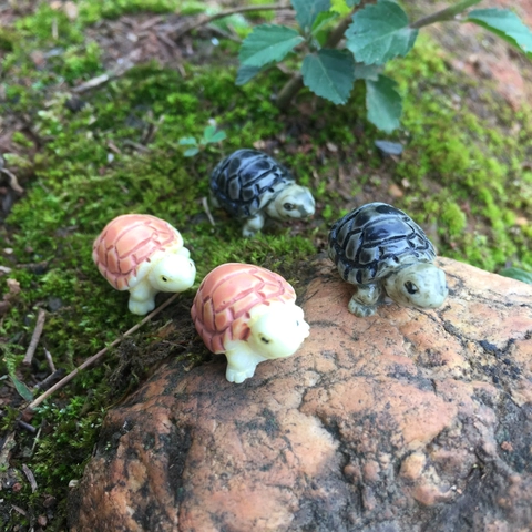 Mini Statuetta di Tartaruga in Resina Decorazione Micro Paesaggio Muschio Ornamento Animale Miniatura per Giardino Fata