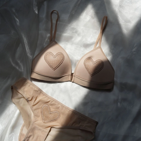 Women Sexy French Lace Lingerie Set Heart Embroidery Triangle Cup Wireless Bra And Panty Set Top And Bottom Lingerie