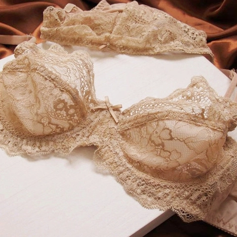 Women Sexy Lace Top And Bottom Ultra Thin Breathable Floral Mesh Uplift Minimizer Lingerie Bra And Panty Top And Bottom