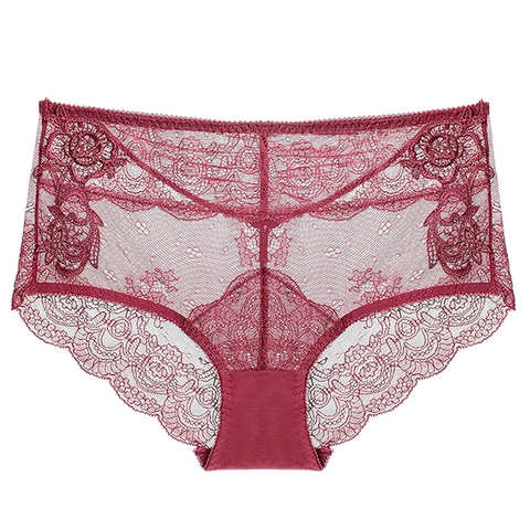 Sinnlich Französische Transparente Spitzenhöschen Für Damen Atmungsaktiv Blumenstickerei Netzslips Weicher Baumwollzwickel Unterwäsche