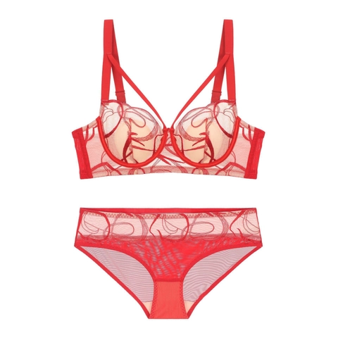 Ensemble Soutien-Gorge Sexy Style Français en Dentelle Brodée Ensemble Lingerie Minimiseur en Mesh Ultra-Mince Avec Soutien-Gorge et Culotte Pour Femme