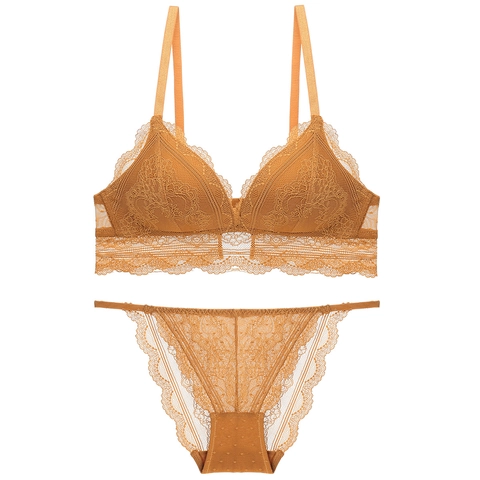 Women's French Vintage Sexy Lingerie Lace Triangle Cup Bra And Panty Breathable Comfortable Floral Lace Underwear Underwear