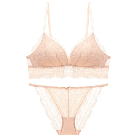 Women's French Vintage Sexy Lingerie Lace Triangle Cup Bra And Panty Breathable Comfortable Floral Lace Underwear Underwear