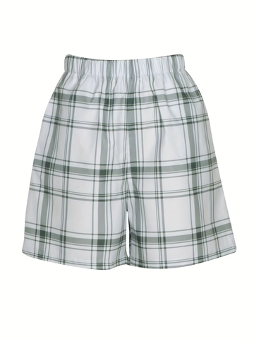 Dames Casual Ruitjes Shorts Hoge Taille Elastische Taille Polyester Ruitjespatroon Ademend Losse Korte Broek Dagelijkse Mode