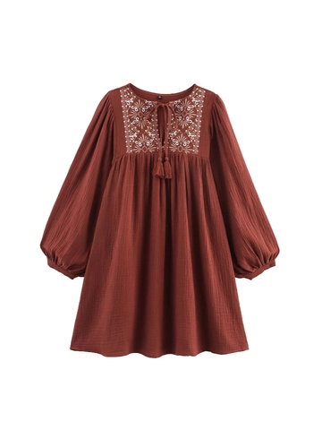 Women's Boho Floral Embroidered Cotton Blend Mini Dress Rust Red Long Lantern Sleeve A-Line Dress With Tassel Tie V Neck Top