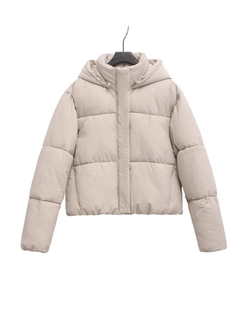 Veste Matelassée à Capuche Street Fashion Femmes Couleur Unie Fermeture Éclair Manteau Rembourré Court Casual Chaud