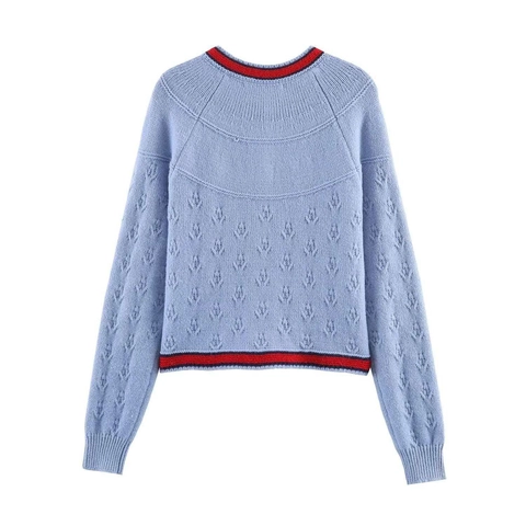 Cardigan in Maglia Vintage da Donna Celeste con Ricamo Floreale Strisce a Contrasto Monopetto Manica Lunga Girocollo