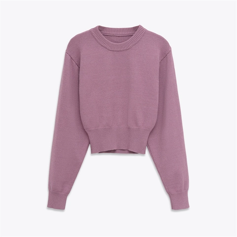Dames Casual Ronde Hals Lange Mouw Gebreide Trui Cropped Pullover Effen Geribde Top Voor Herfst Lente